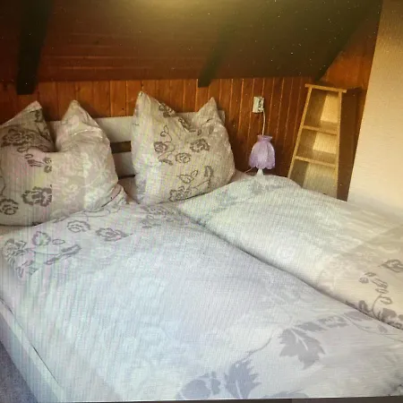 Holiday home Guenther Harzgerode/schielo *