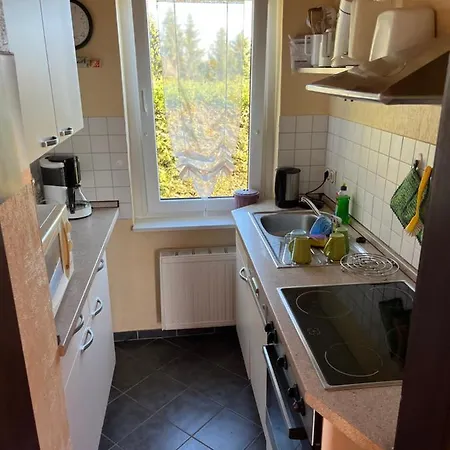 Holiday home Guenther Harzgerode/schielo Schielo