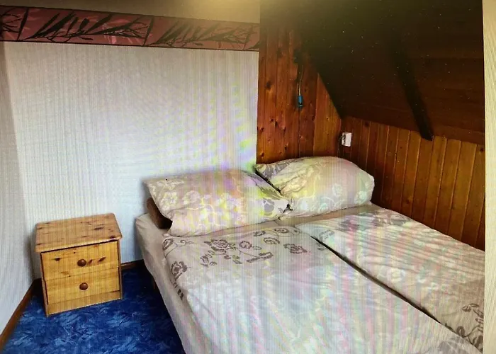 Guenther Harzgerode/schielo *